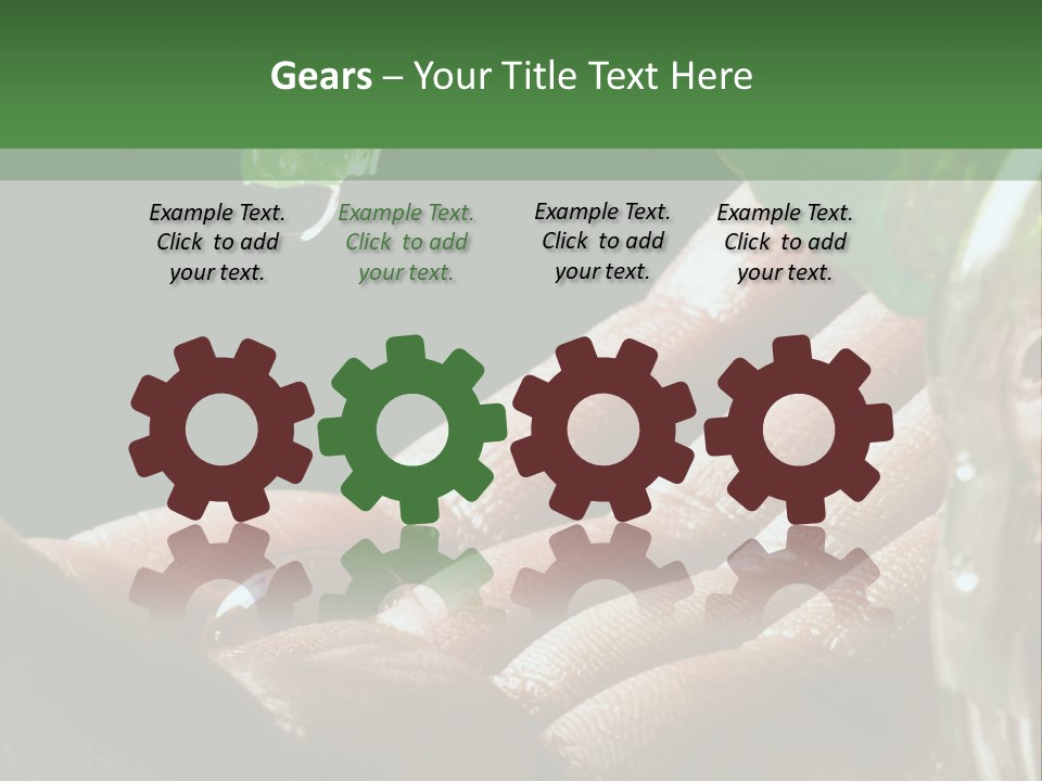 Auto Pull Working PowerPoint Template