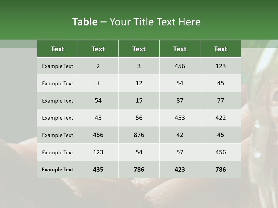 Auto Pull Working PowerPoint Template