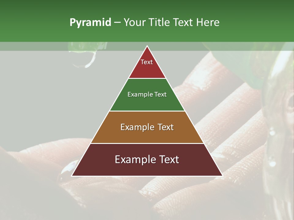 Auto Pull Working PowerPoint Template