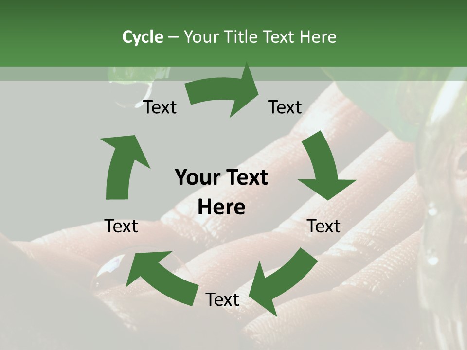 Auto Pull Working PowerPoint Template