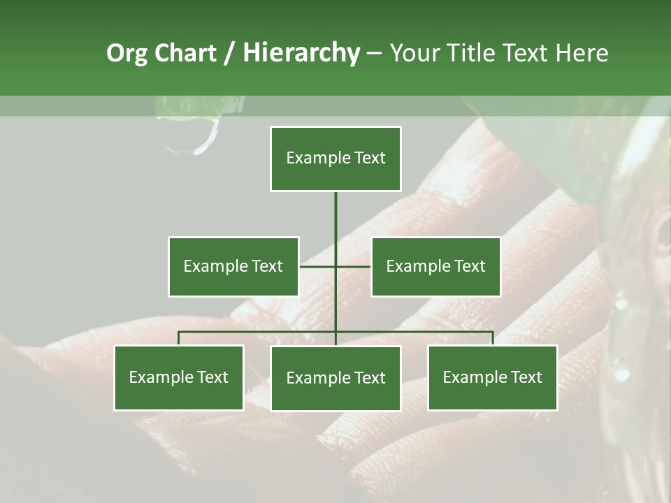 Auto Pull Working PowerPoint Template