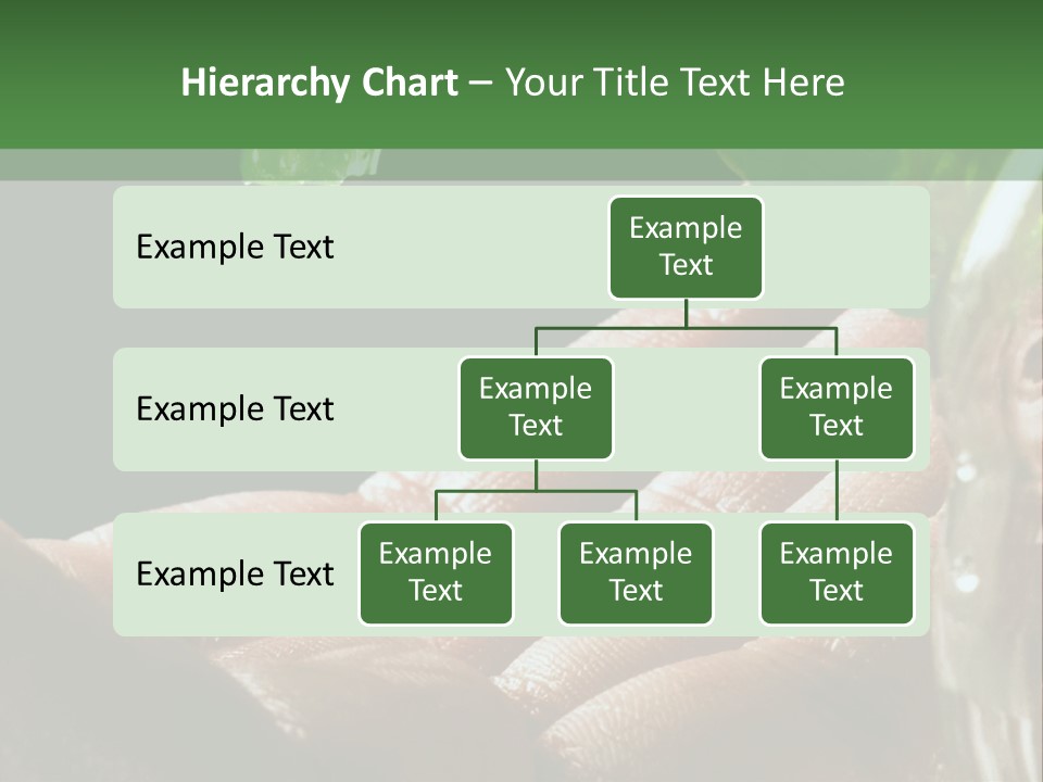 Auto Pull Working PowerPoint Template