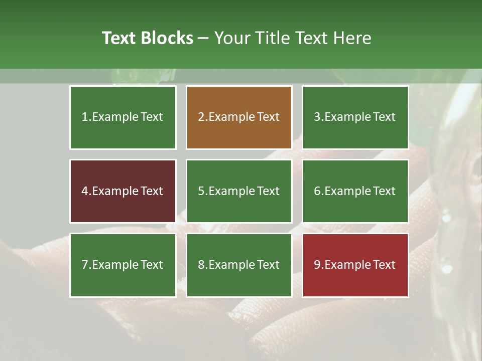 Auto Pull Working PowerPoint Template