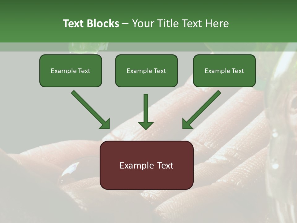 Auto Pull Working PowerPoint Template
