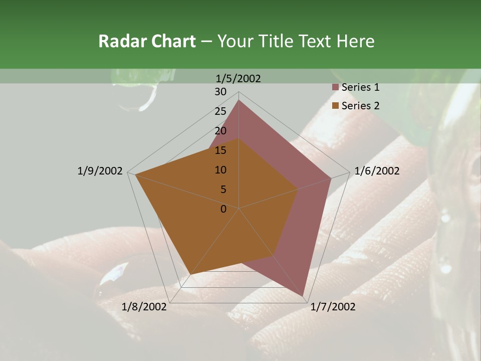 Auto Pull Working PowerPoint Template