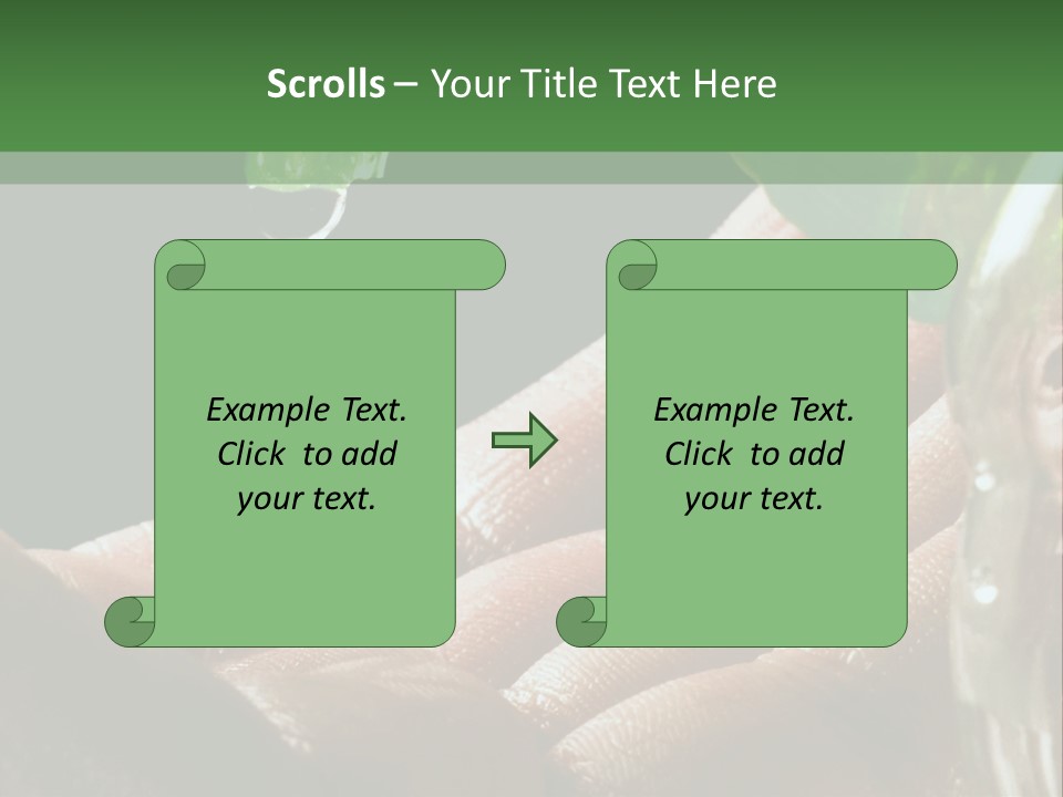Auto Pull Working PowerPoint Template