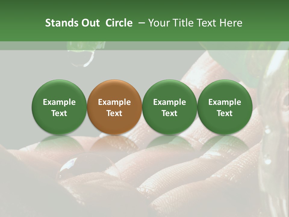 Auto Pull Working PowerPoint Template