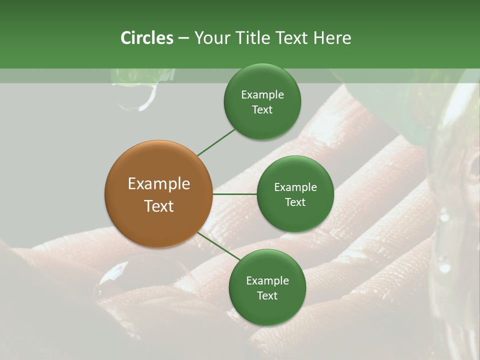 Auto Pull Working PowerPoint Template