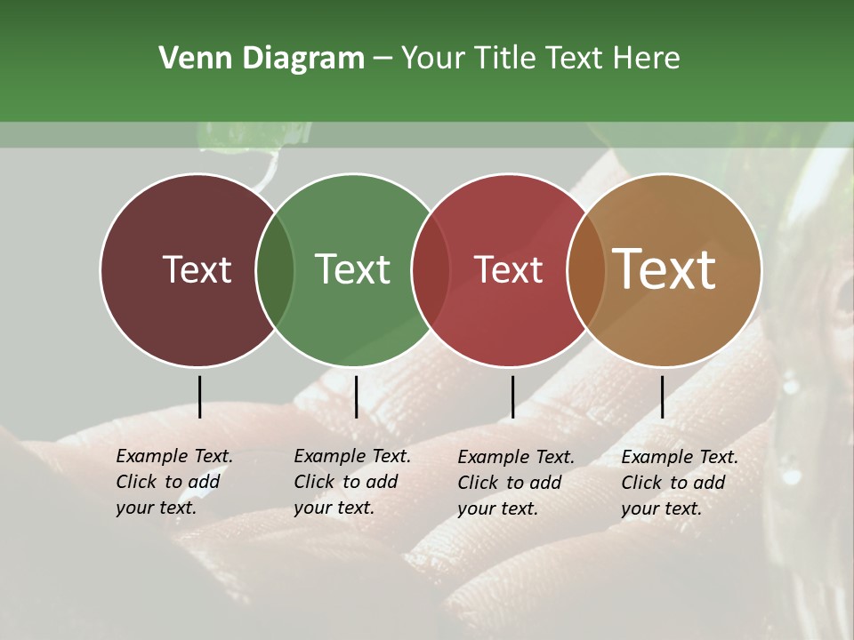 Auto Pull Working PowerPoint Template