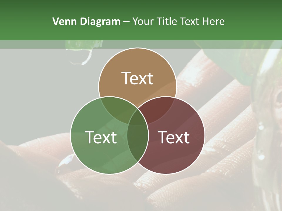 Auto Pull Working PowerPoint Template