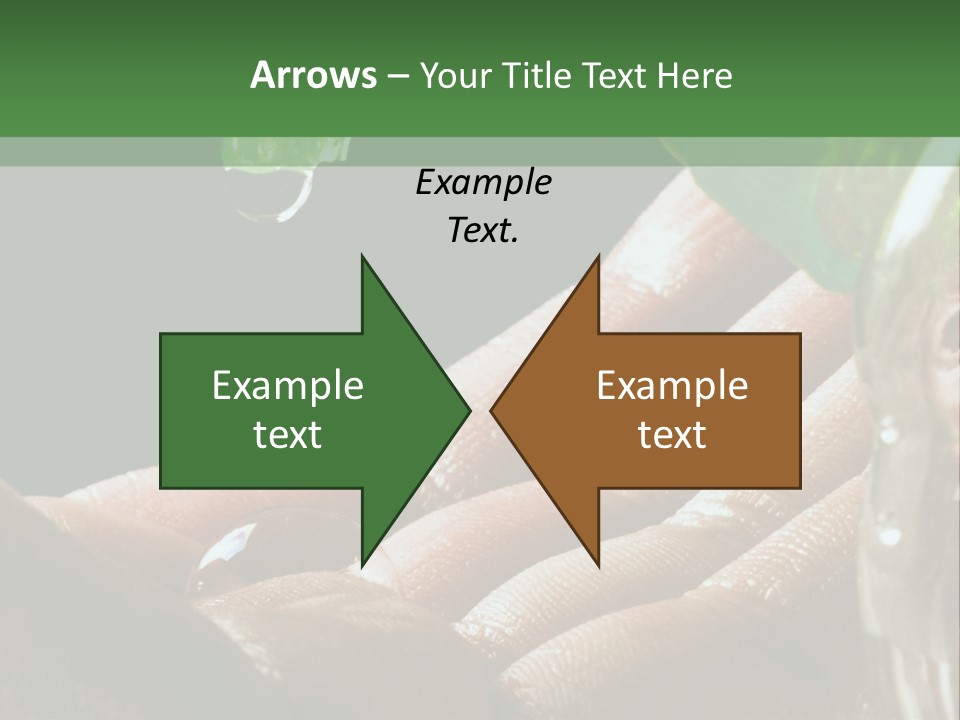 Auto Pull Working PowerPoint Template