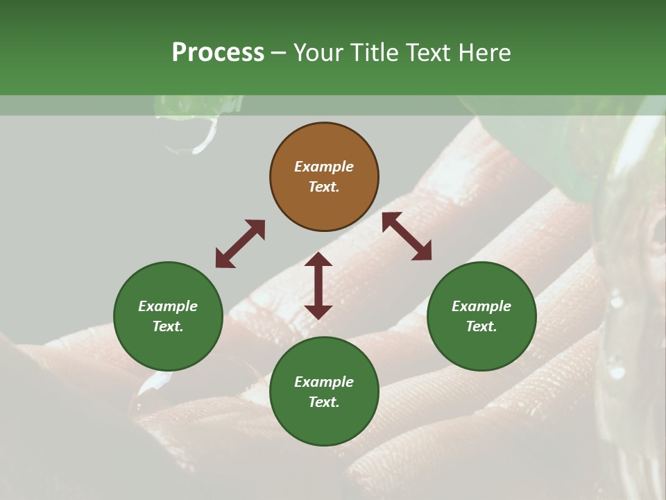 Auto Pull Working PowerPoint Template