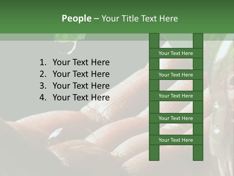 Auto Pull Working PowerPoint Template