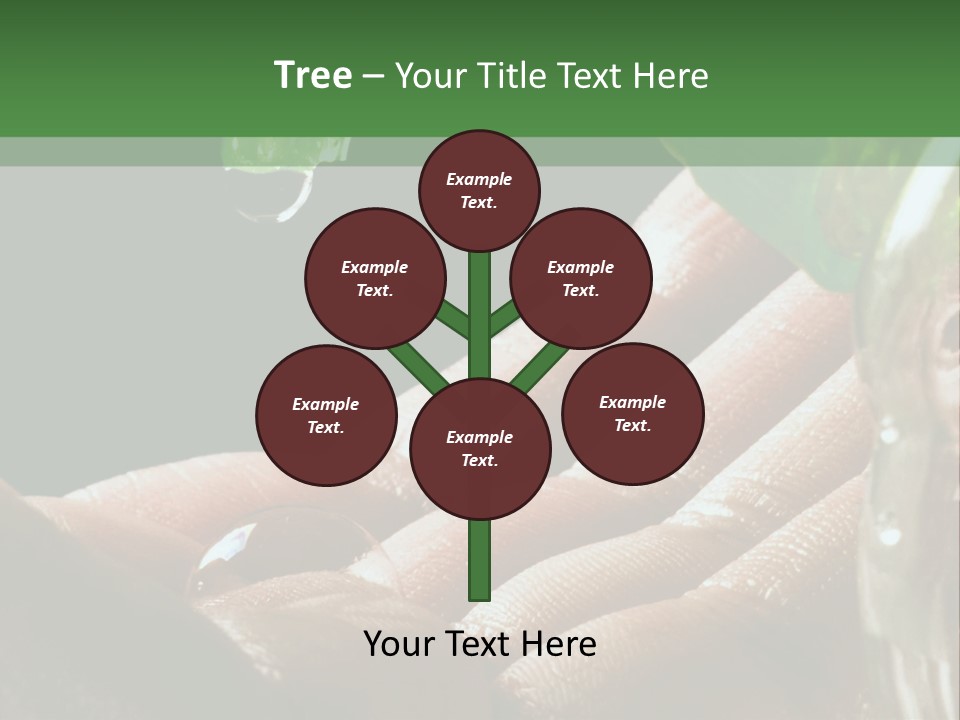 Auto Pull Working PowerPoint Template
