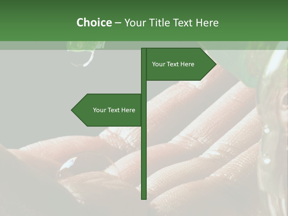 Auto Pull Working PowerPoint Template