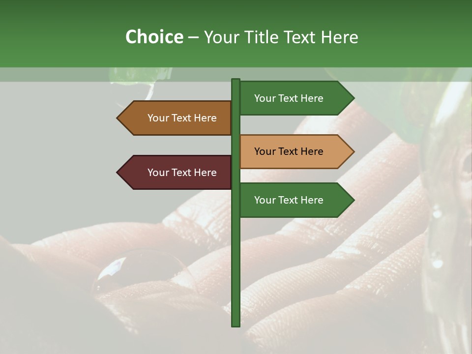 Auto Pull Working PowerPoint Template