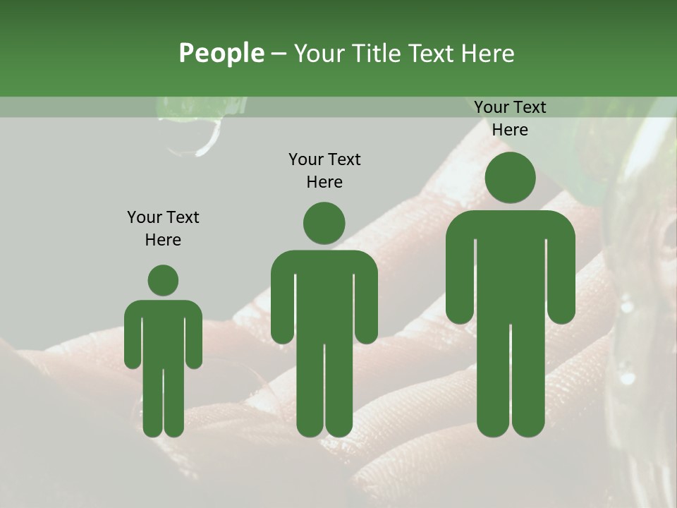 Auto Pull Working PowerPoint Template