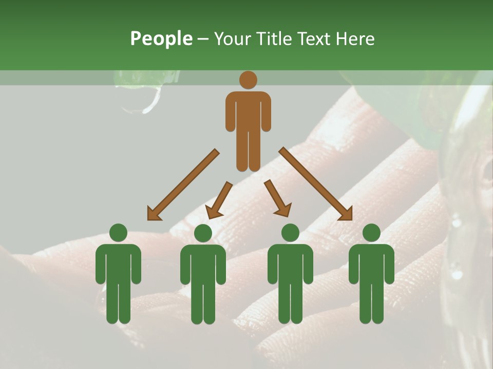 Auto Pull Working PowerPoint Template