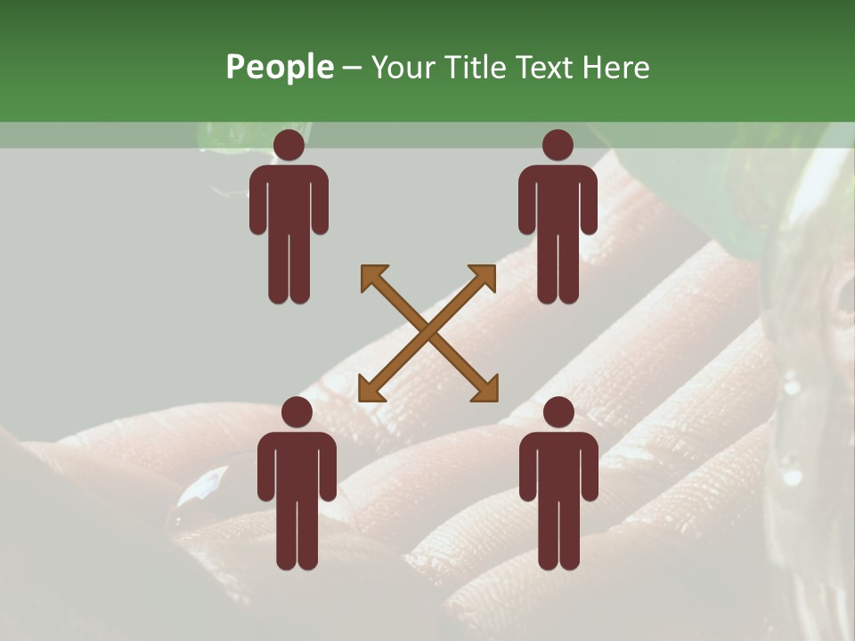 Auto Pull Working PowerPoint Template