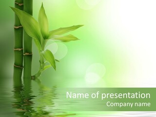 Shoots Branch Pattern PowerPoint Template