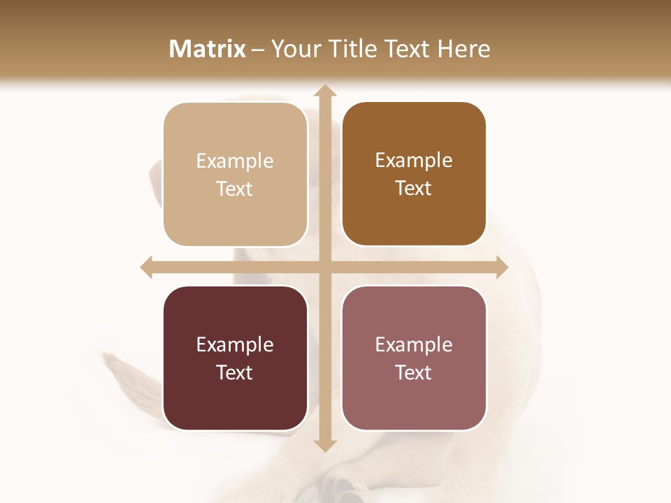 Golden Furry Labrador Retriever PowerPoint Template