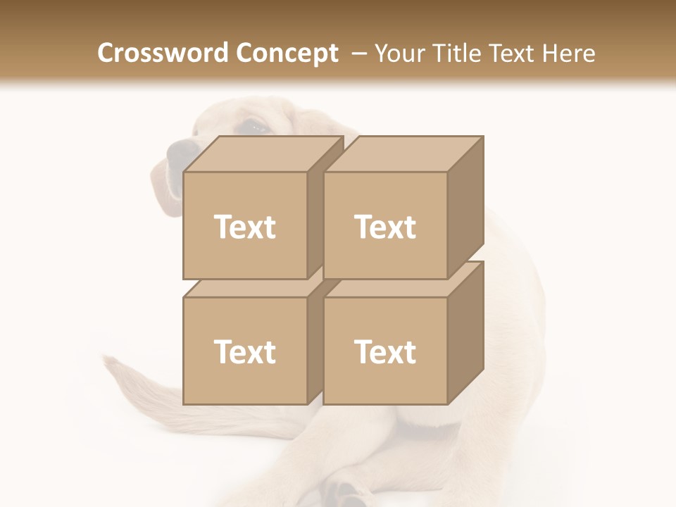 Golden Furry Labrador Retriever PowerPoint Template