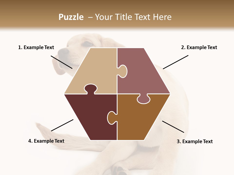 Golden Furry Labrador Retriever PowerPoint Template