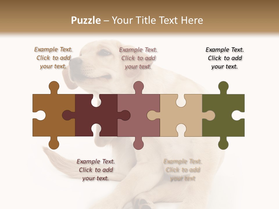Golden Furry Labrador Retriever PowerPoint Template