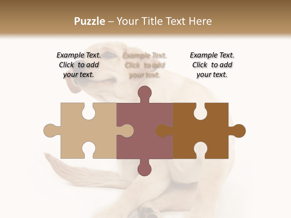 Golden Furry Labrador Retriever PowerPoint Template