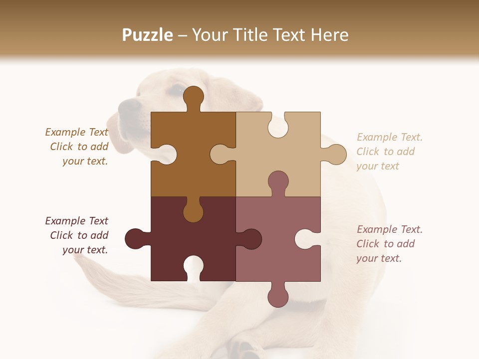 Golden Furry Labrador Retriever PowerPoint Template