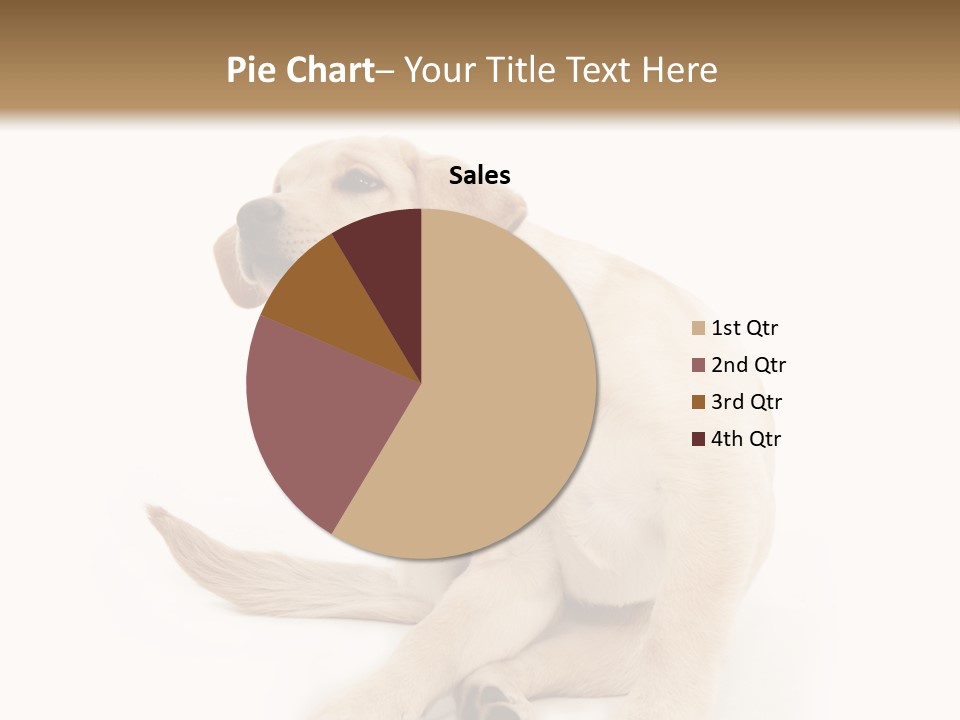 Golden Furry Labrador Retriever PowerPoint Template