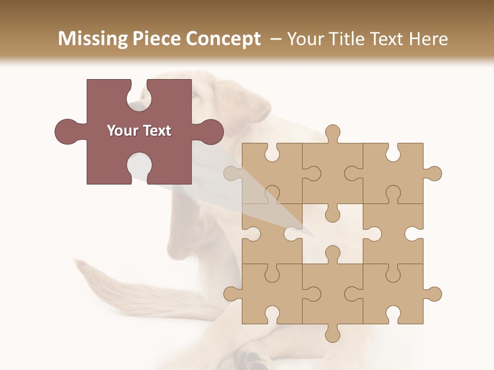 Golden Furry Labrador Retriever PowerPoint Template