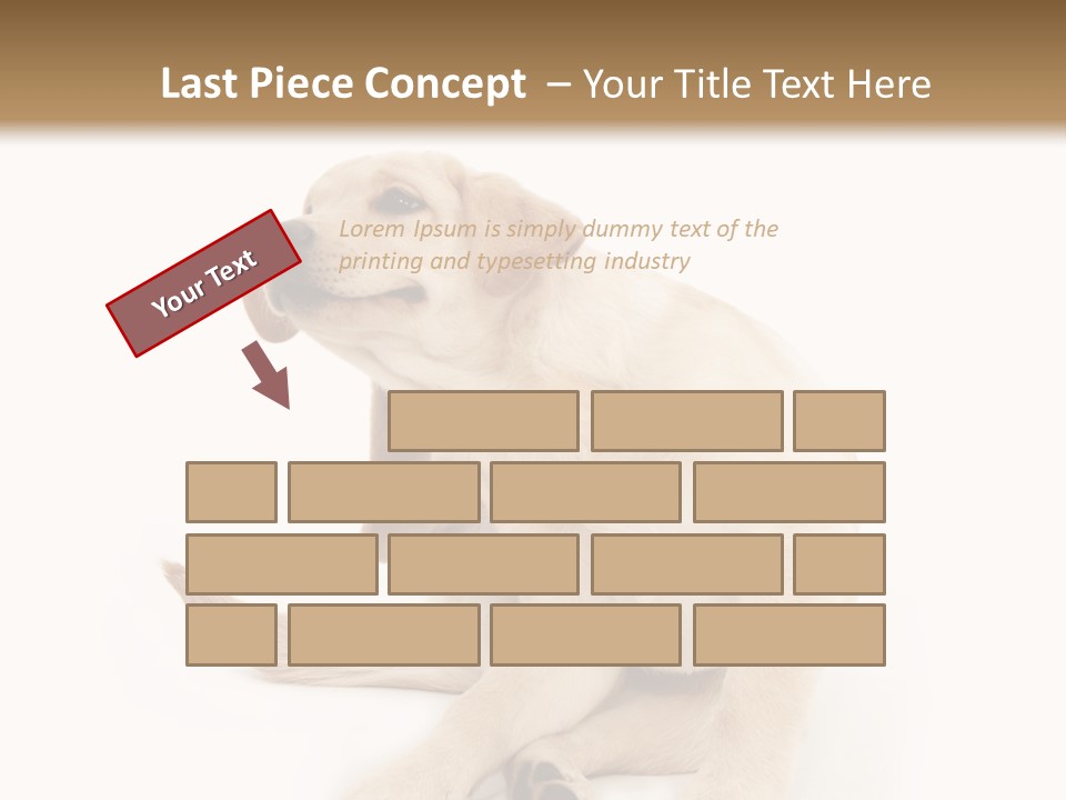 Golden Furry Labrador Retriever PowerPoint Template