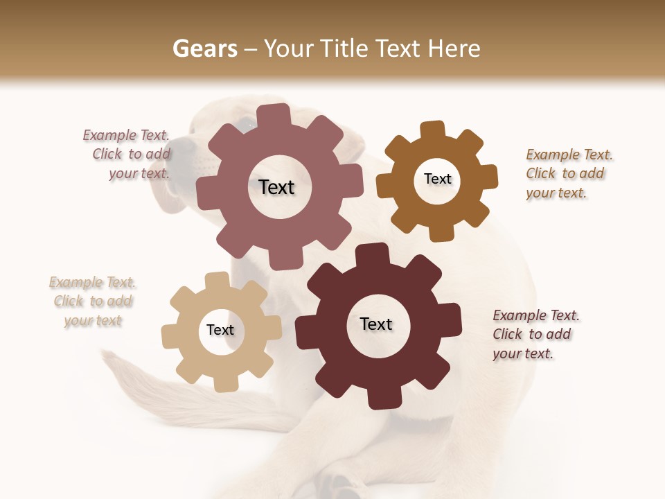 Golden Furry Labrador Retriever PowerPoint Template