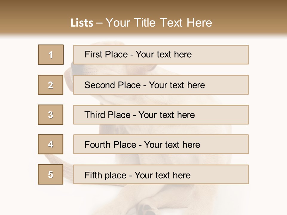 Golden Furry Labrador Retriever PowerPoint Template