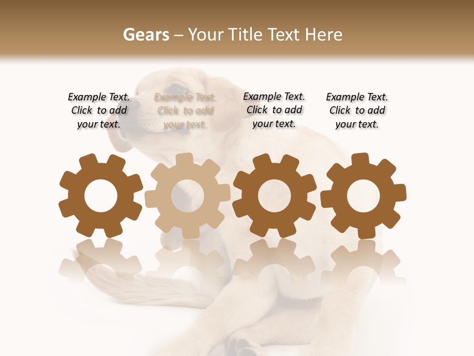 Golden Furry Labrador Retriever PowerPoint Template