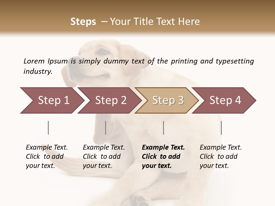 Golden Furry Labrador Retriever PowerPoint Template