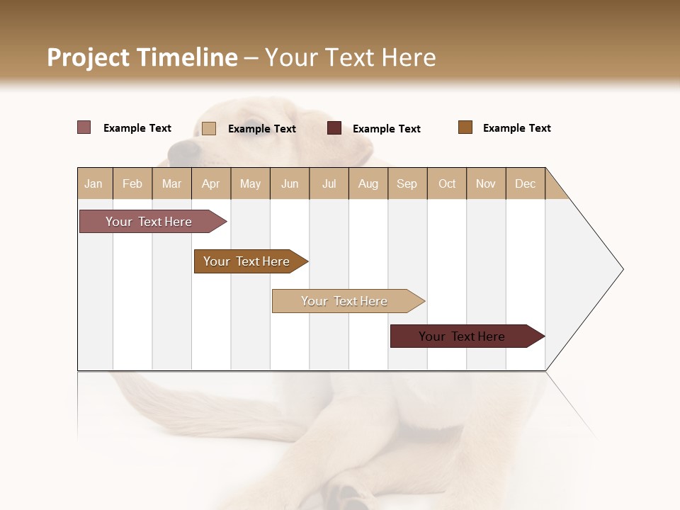 Golden Furry Labrador Retriever PowerPoint Template