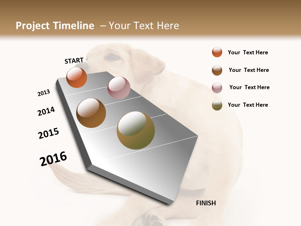 Golden Furry Labrador Retriever PowerPoint Template