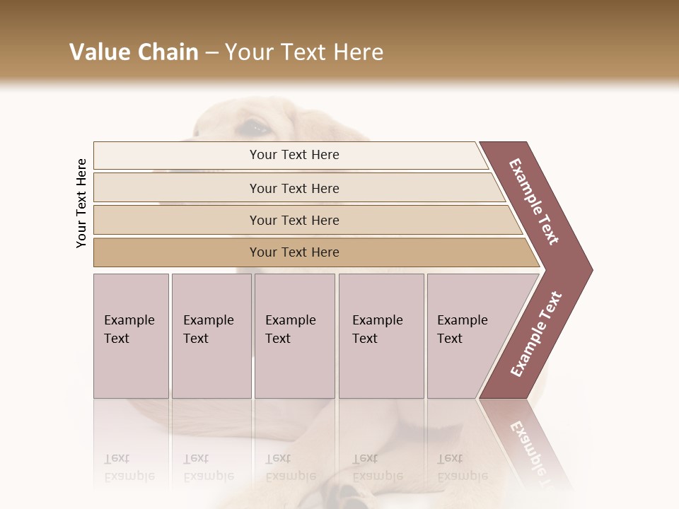 Golden Furry Labrador Retriever PowerPoint Template