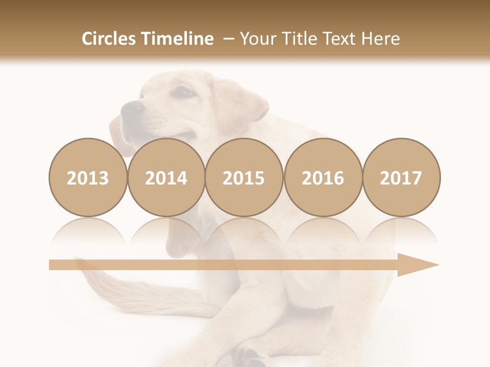 Golden Furry Labrador Retriever PowerPoint Template