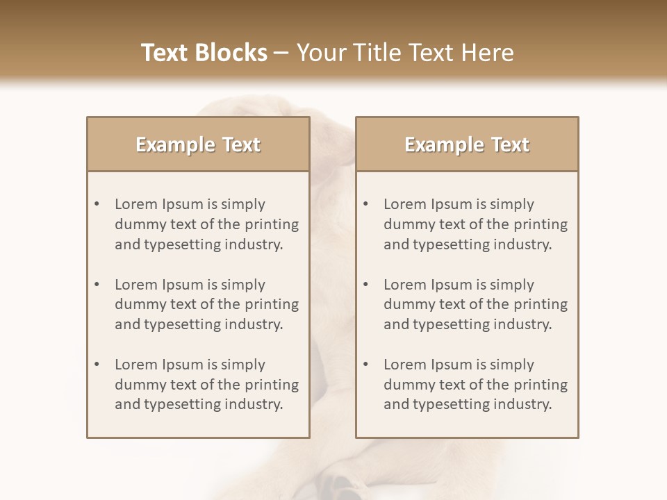 Golden Furry Labrador Retriever PowerPoint Template