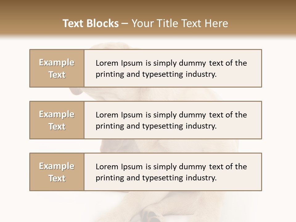 Golden Furry Labrador Retriever PowerPoint Template