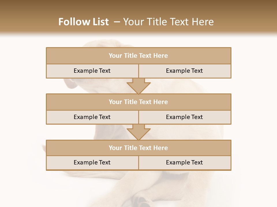 Golden Furry Labrador Retriever PowerPoint Template