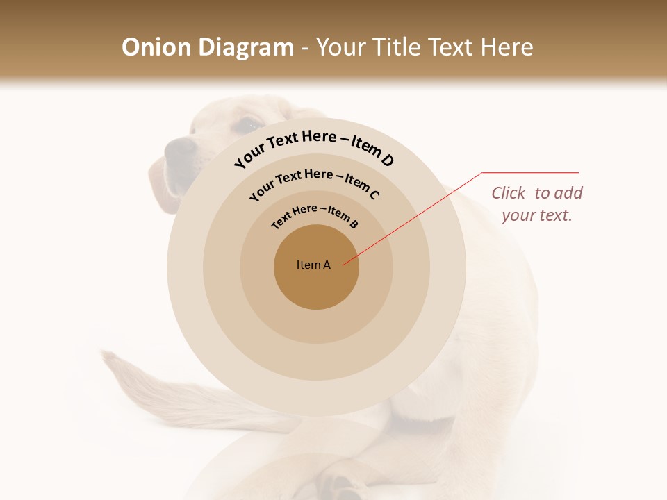 Golden Furry Labrador Retriever PowerPoint Template