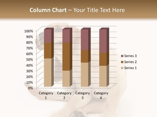 Golden Furry Labrador Retriever PowerPoint Template