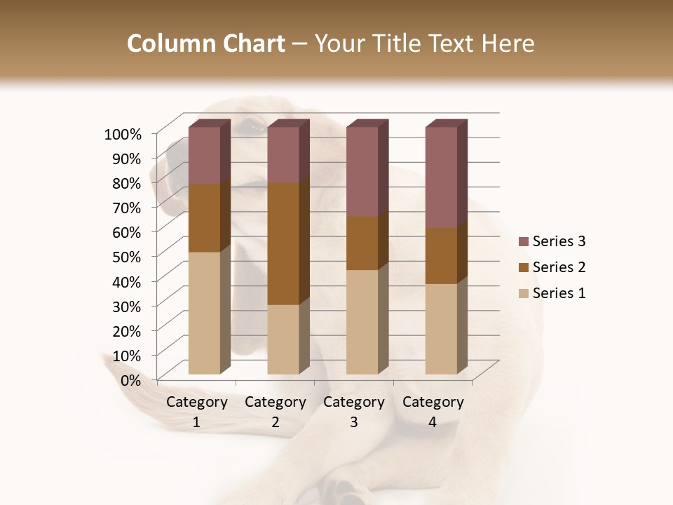 Golden Furry Labrador Retriever PowerPoint Template
