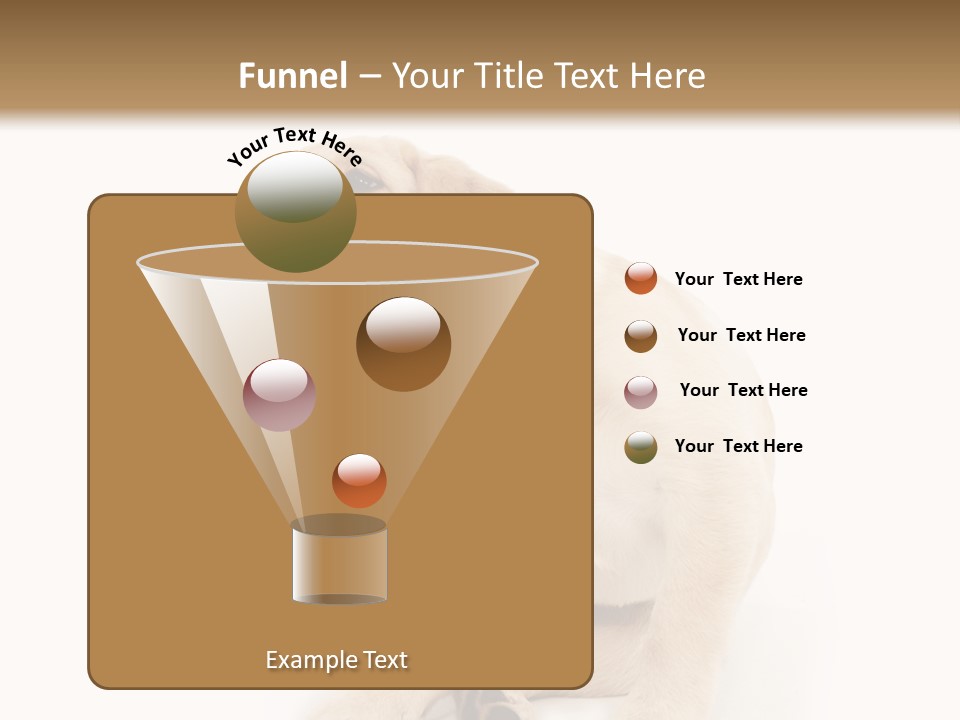 Golden Furry Labrador Retriever PowerPoint Template