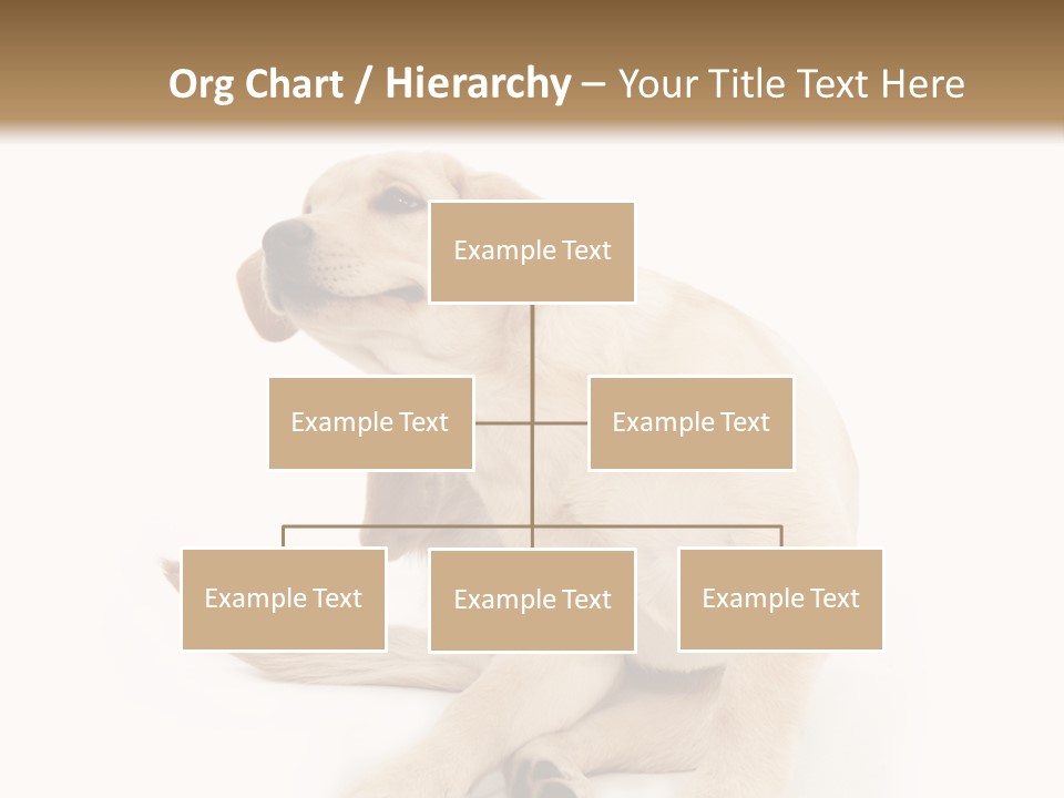 Golden Furry Labrador Retriever PowerPoint Template