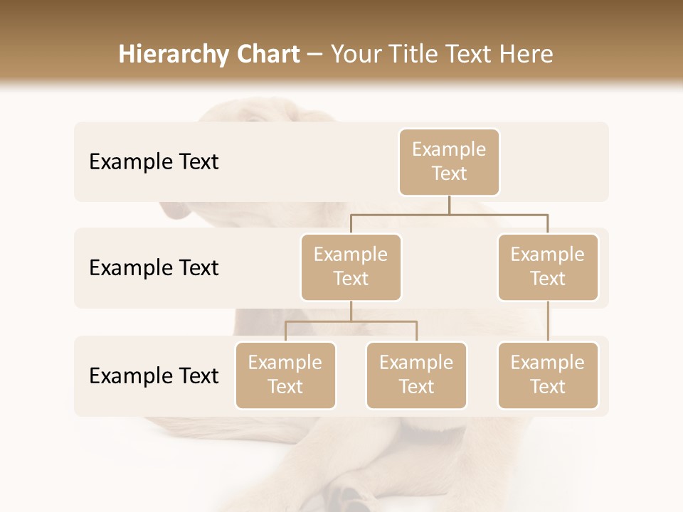 Golden Furry Labrador Retriever PowerPoint Template